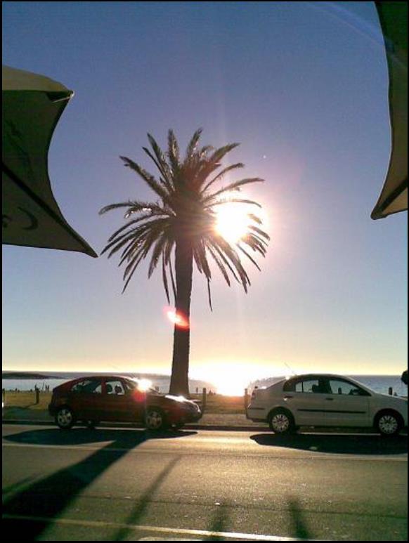 Camps Bay 